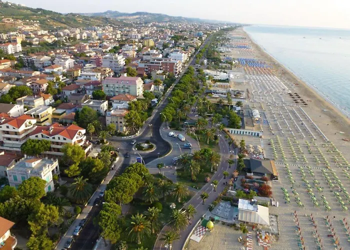 Minerva Int 2 - Myho Casa トルトレート